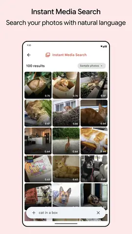 Capture de l'appli Google AI Edge Gallery sur Android, en anglais : Instant Media Search retrouve des photos de chats à partir de la phrase « cat in a box ».