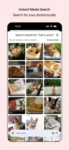 Capture de l'appli Google AI Edge Gallery sur iPhone, en anglais : la recherche de photos à partir de la phrase « cat in a box ».